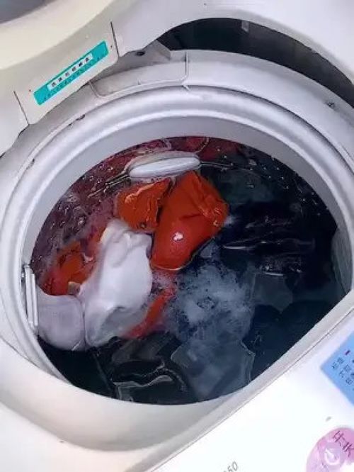 共享洗衣房的救星 一網(wǎng)打盡的毛發(fā)過濾神器